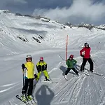 Sonnenroeschen