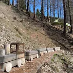 Sonnenroeschen Blatten bei Naters