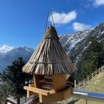 Sonnenroeschen