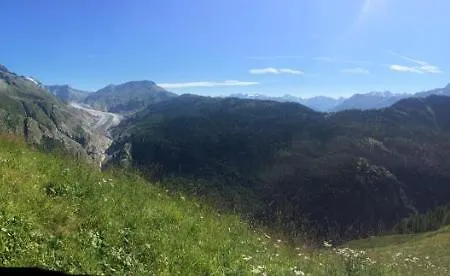 Alpstuga Sonnenroeschen *