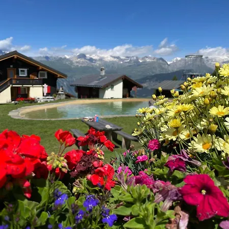 Sonnenroeschen Alpstuga