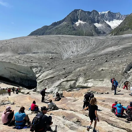 Sonnenroeschen Alpstuga Blatten bei Naters