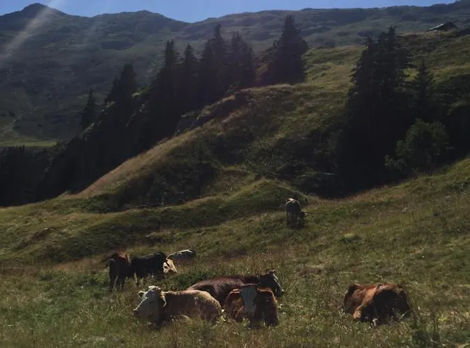 Sonnenroeschen Chalet *