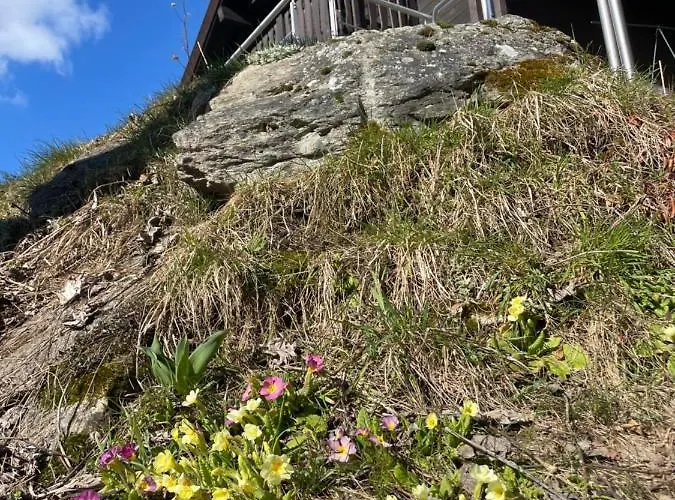 Sonnenroeschen Chalet Blatten bei Naters