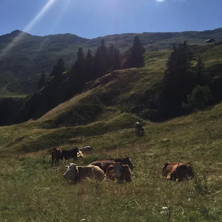 Sonnenroeschen 샬레 *