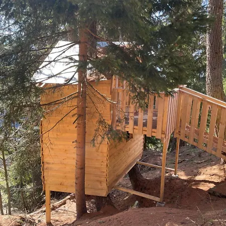 Sonnenroeschen 나테스