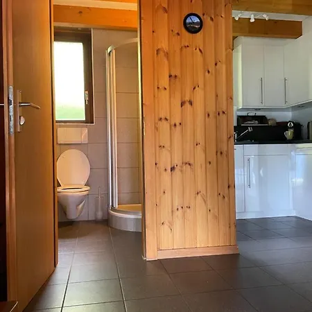 Sonnenroeschen Blatten bei Naters