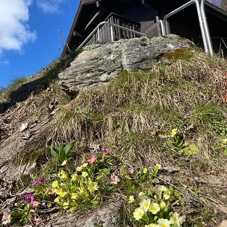 Sonnenroeschen Chalet Blatten bei Naters