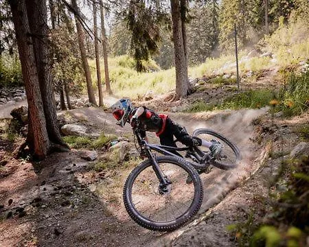 Sonnenroeschen Chalet *