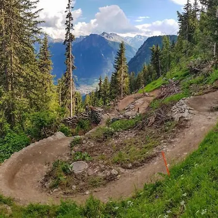 Sonnenroeschen Blatten bei Naters